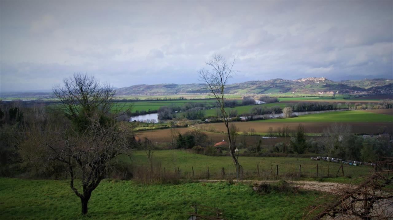 Agriturismo Monterone Ponzano Romano Buitenkant foto