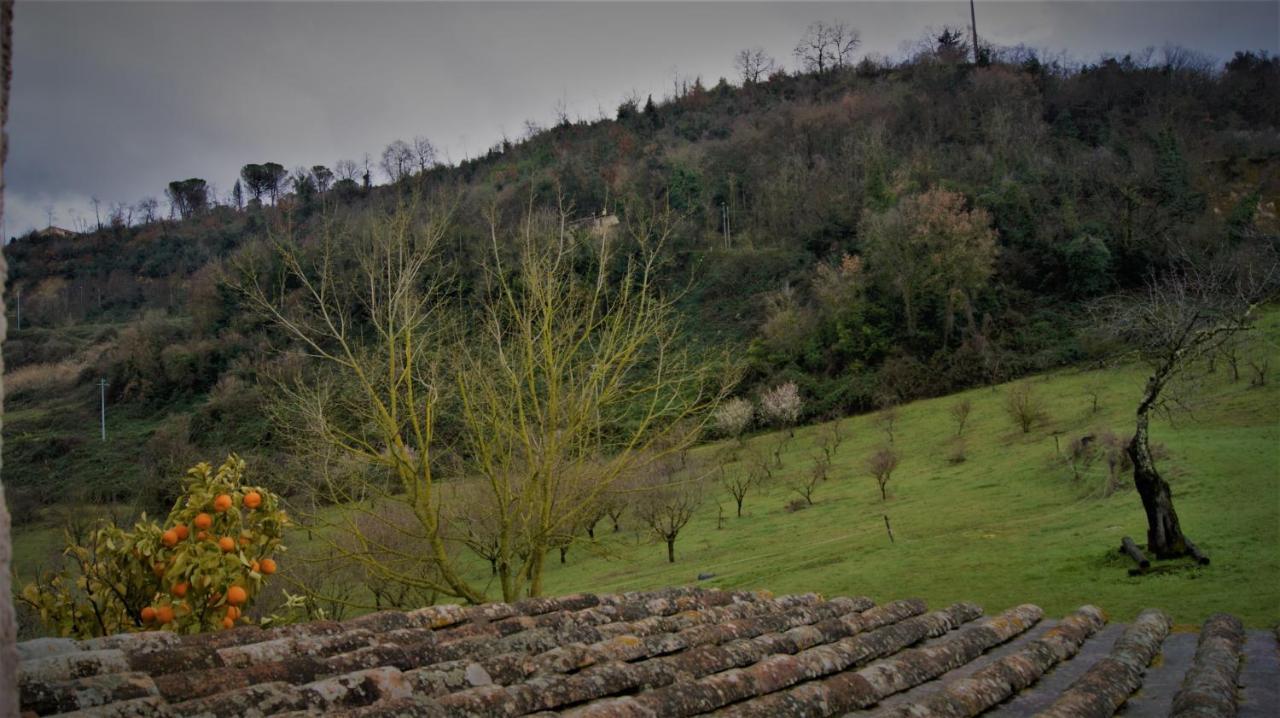 Agriturismo Monterone Ponzano Romano Buitenkant foto