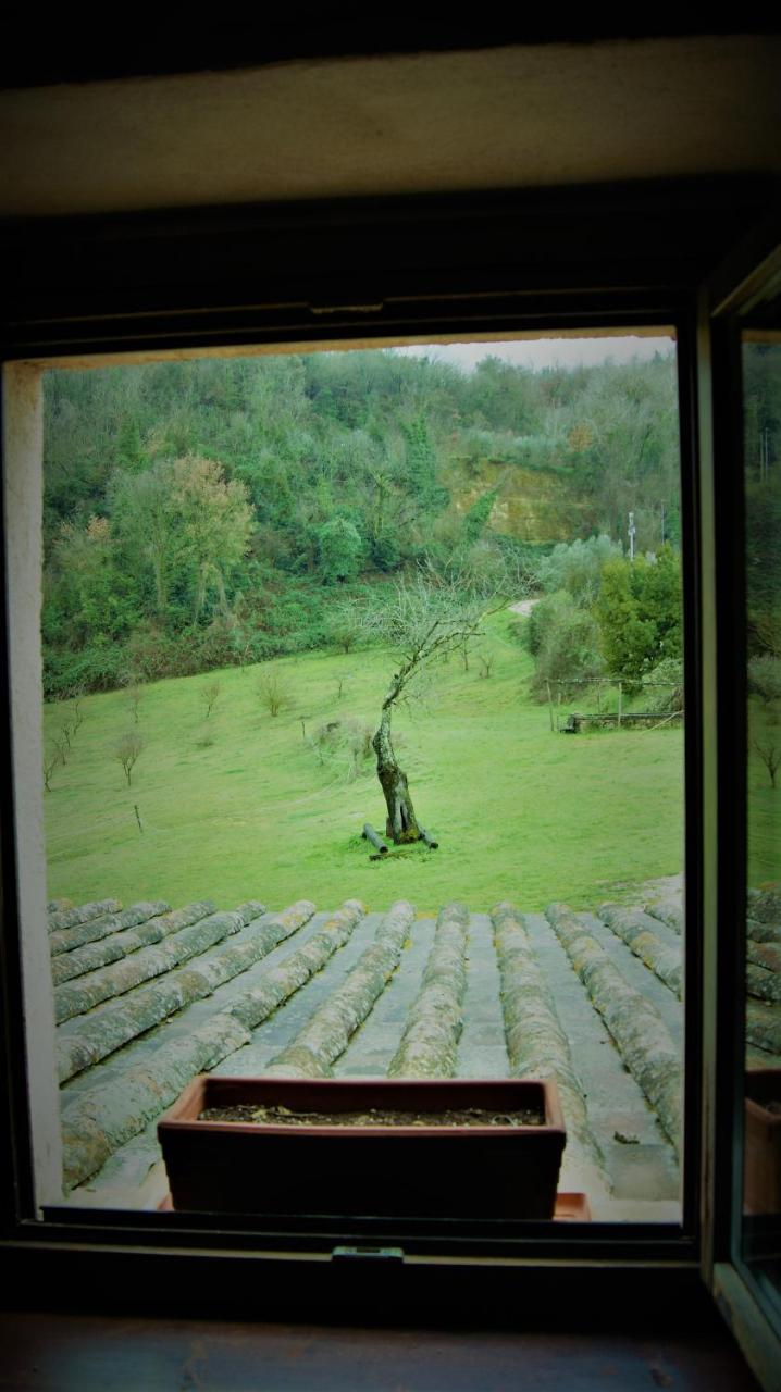 Agriturismo Monterone Ponzano Romano Buitenkant foto